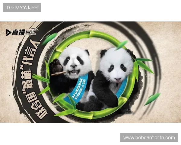 探索熊猫直播平台的独家特色内容，满足不同用户的娱乐和学习需求